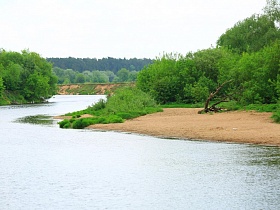 тихая водная гладь извилистой реки с сочной зеленью травы и листьев деревьев вокруг песчанного берега летом