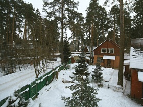 накатанная снежная дорога у зеленого забора вокруг участка с двухэтажными домами в сосновом лесу