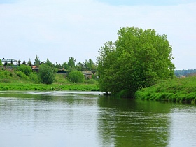 пушистая крона лиственного дерева на изгибе красивой реки с зелеными островками