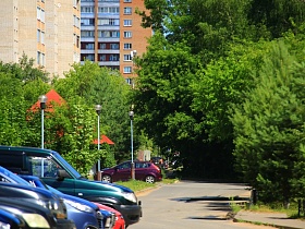 асфальтированная дорога во дворе жилых многоэтажек с высаженными лиственными и хвойными деревьями для съемок кино