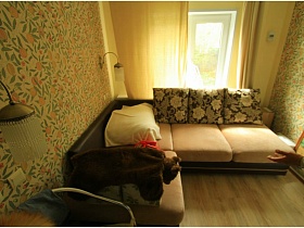 двухцветный угловой мягкий диван с цветными подушками у окна спальной комнаты с желтыми шторами и цветочными обоями на стенах