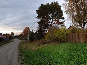 разноцветная листва высоких деревьев и кустарников у жилых домов за штакетным забором осенней порой вдоль гладкой асфальтированной дороги в Новиково