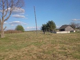 старое высокое сухое дерево и столб с линией электропередач на просторном поле на окраине старой деревни 2
