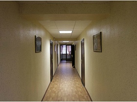 картины на светлых стенах длинного коридора