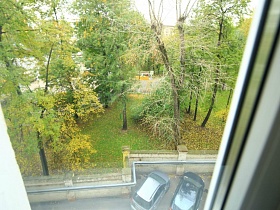 вид из окна трехкомнатной квартиры на зеленый участок с высокими деревьями