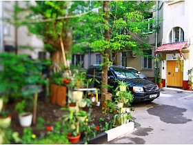 чистый ухоженный полисадник с комнатными цветами в горшочках во дворе дома на Долгоруковской