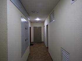 со светлого коридора входная дверь в квартиру