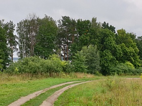 полевая дорога с поворотом вдоль полоски зеленого смешанного леса на берегу водохранилища
