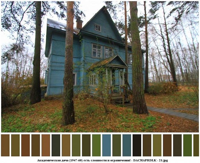 смешанный лес на осеннем участке голубой двухэтажной деревянной академической дачи (1947-60 гг)