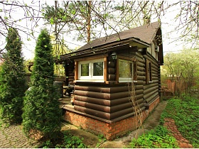 симпатичный коричневый небольшой бревенчатый домик на участке с высокими зелеными кипарисами под окнами