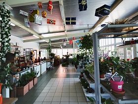 просторная светлая комната цветочного магазина с декорацией на потолке, многочисленными и разнообразными комнатными цветами, как в маленьких горшочках на полках, так и в больших кадках на полу с квадратной плиткой