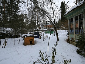 шифер на крыше деревянного домика для собаки, летний душ на просторном участке под снегом советской дачи художника