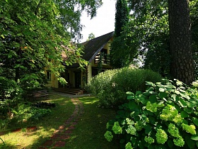 тропинка к ступеням открытой веранды желтого двухэтажного домика дачи среди густой зелени