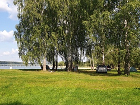 машины и туристические палатки в тени густой кроны деревьев и отдыхающие на открытой поляне зеленого живописного берега пляжа загородного клуба
