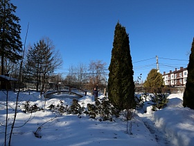 арочный мост с перилами на участке с высокими хвойными деревьями зимой