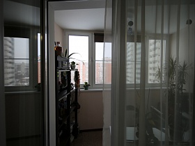 коричневые жалюзи на окне, комнатные цветы, коричневая этажерка на застекленном балконе из открытой двери спальной комнаты с прозрачной гардиной на окне