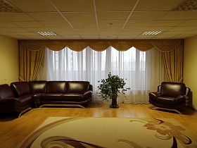 светлый ковер на полу, кожанный мягкий уголок и кресло, высокий комнатный цветок у окна просторного холла гостиницы люкс