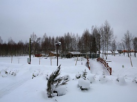 маленькие елочки под снегом у небольшого деревянного мостика в коттеджном поселке