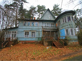 голубая двухэтажная деревянная академическая дача с ротондой (1947-60 гг) на участке с хвойными деревьями за забором
