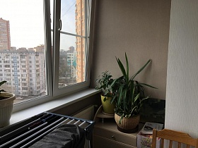 сушилка с бельем, комнатные цветы на бежевой тумбочке у стены застекленной лоджии современной стильной квартиры бухгалтера на последнем этаже