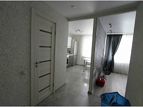 вид на кухню и смежную с ней гостиную из прихожей со светло серыми стенами и закрытой дверью в ванную комнату евро однушки