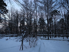 расчищенные тропинки от снега на дачном участке за деревянным ограждением