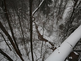 вид с длинного подвесного пешеходного моста на речушку, протекающую внизу среди высоких деревьев