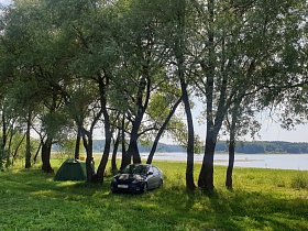 отдыхающие с машиной и разбитой зеленой палаткой на живописном берегу полуострова на водохранилище 3 в Московской области
