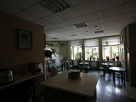 общий вид просторного светлого уютного кафе с рядами круглых столиков со стульями у окон с жалюзи и многочисленными комнатными цветами на подоконниках