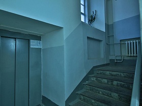 серые двери лифта на первом этаже жилого подъезда с бетонными ступенями лестничной площадки и комнатным цветком на подоконнике окна