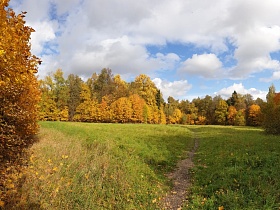 Лесная поляна осенью