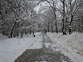 расчищенная дорожка в  снежном парке