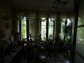 уютная комната с многочисленными комнатными цветами в вазонах на полу, на окнах дачи в соснах