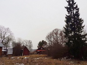 участок с деревянными постройками, деревянным домиком в окружении хвойных и лиственных деревьев в деревне в зимнее время