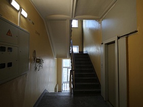 лампы дневного освещения над электросчетчиками, комнатный цветок на этажах ухоженного подъезда многоэтажного дома сталинки