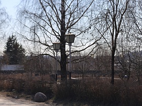 белые фонарные столбы у дороги с подстриженным кустарником в провинциальном городке Сычево для съемок кино