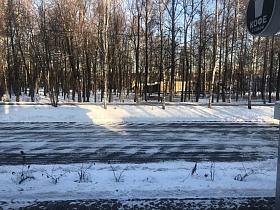 автомобильная дорога, расчищенная от снега, пешеходная дорожка, выложенная плиткой у лесополосы напротив кафе-стекляшки