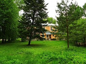 желтый деревянный двухэтажный домик в конце зеленой поляны с густой травой и высокими деревьями в старом городке