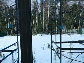 вид из окна элитного дома на большой участок под снегом с высокими березами и зелеными елями