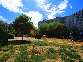 современный зеленый двор с детскими горками и спортивными снарядами на площадке и пышной кроной лиственных и хвойных деревьев