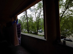 вид с балкона на коммунальный двор с зелеными деревьями