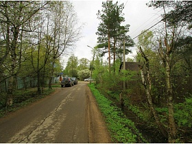 зеленые ели и лиственные деревья вдоль улицы в дачном поселке с машинами на обочине