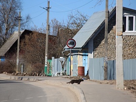 линии электропередач у жилых домов, облицованных камнем за высоким забором на повороте автомобильной дороги в городке Сычево