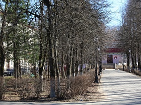 густо высаженные деревья и кустарники вдоль дорожки, выложенной плиткой, с фонарными черными столбами в городке Сычево
