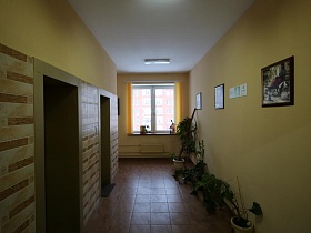 выход с лифта на просторную площадку с картинами на стене и комнатными цветами