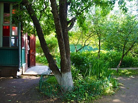 небольшой полисадник с высоким деревом за небольшим кованным зеленым забором-сердечки у крыльца с окрашенными дверьми на деревянную художественную дачу-музей