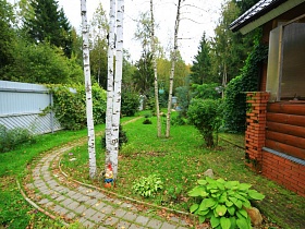 дорожка с бардюром из плитки вокруг высоких стволов белых берез на зеленом участке семейного двухэтажного дома в глухом лесу