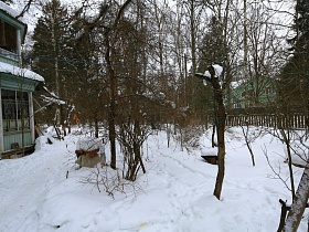 натянутая веревка для сушки белья к сломанному дереву на зимнем  участке деревянной советской дачи художника с овальной террасой