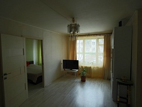 комнатный цветок в горшочке на полу светлой гостиной съемной квартиры