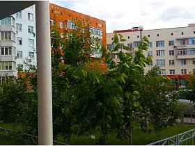 сквер с молодыми деревьями внутри цветных пятиэтажек